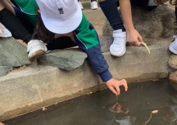 10.22.ザリガニ釣り！うねづくり！