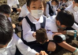 10.29.大きなかぶになあれ！