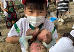 10.12.まるまるさつまいもがとれたよ♪