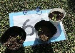 映画＋トリオ＝楽しい１日！！