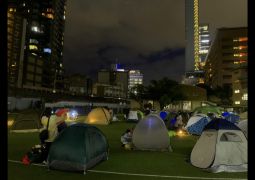 総合「命は一つ　参加の仕方は無限大」