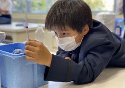 （理科）天王寺／附天のエジソン発明品試作中