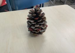 次の図工は、、、