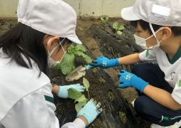 年内最後、今日も元気に畑へレッツゴー！