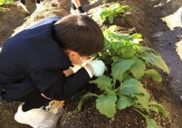 12.14.毎日水やりがんばろう！