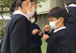 作品を講堂に飾ったよ！