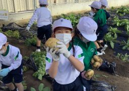 1.31 じゃがいもを掘ったよ！