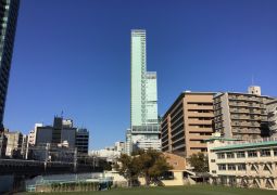 今日の子どもたち