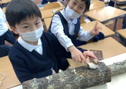 2.14.しいたけランド♪