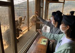 【芸術鑑賞】　〜モンキーパークで餌やり〜