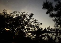 2022.04.20.おやすみなさい