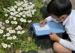 体育科、理科の学習びらき