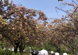 4.19. ドリーム21へ④