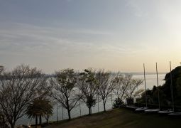 おはようございます