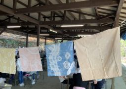 2022.04.20.草木染め