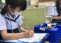 05.20. 子葉を観察しよう！