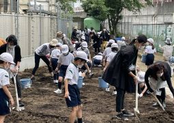 野菜作り〜畝作り編〜