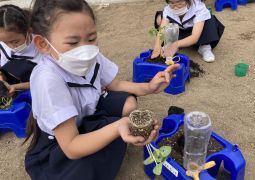 苗を植えたよ！