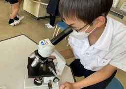 実験って楽しいな！