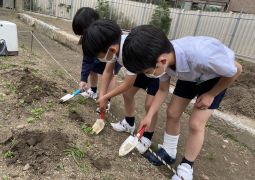 集まれ！ボランティアの友