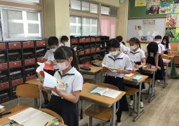 6.09. 物語「一つの花」始まる