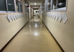 （理科）虫のスケッチ･･･ご覧になるときのポイント