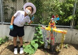 すくすくと成長しています