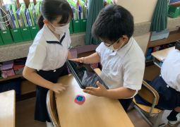 こまの見どころは！？