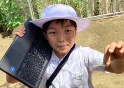 夏の生き物　観察！