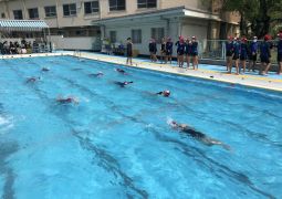 クロール距離テスト