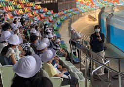 テレビで見たあの人の…