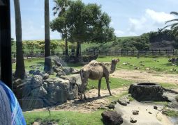 バスに乗ったまま…