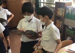 What color do you like?