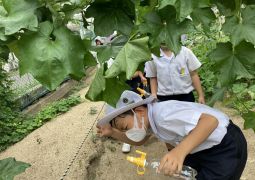 08.24. はじめての 俳句づくりで 夏を詠む