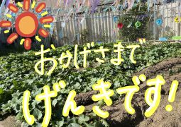 08.20.8月23日の連絡