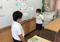 Do you like baseball?