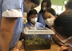 9.05.  墨と筆で運動靴を描こう