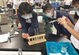 じっくり観察してみると