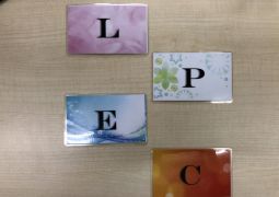 LPEC “LIMITED” PROJECT