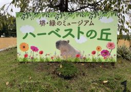 10.07. ペア遠足② 到着しました！