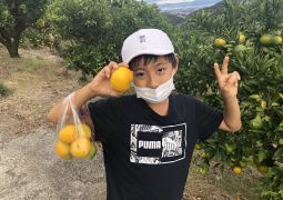 10.18．みかん狩り⑥