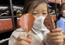 10.18. 秋をつくろう！本物の落ち葉はどっち！？