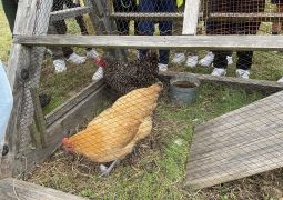 フィールドワーク　活動開始！