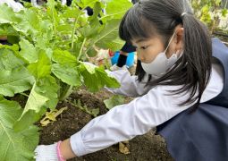 フクロウガーデンに行きました！