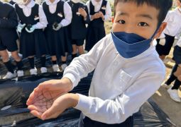 冬野菜を植えたよ！