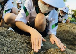 11.18. １４７ガーデン第２弾、幕開け！