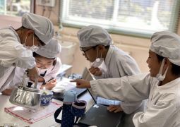 秋も深くなってきて