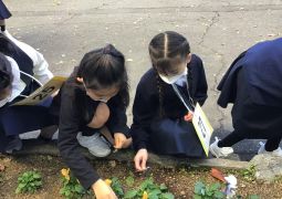 寒いですが元気に過ごしています！！