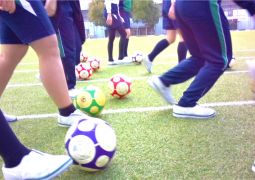 体育サッカーボール