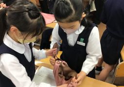 参観、CCTありがとうございました!!